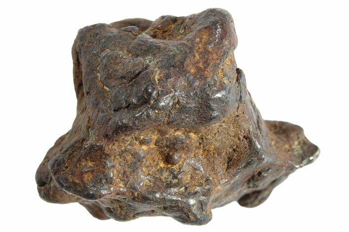 Sericho Pallasite Meteorite ( g) Metal Skeleton #266961